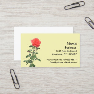 Carte de visite - Une rose rose unique sur tige