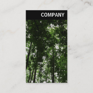 Carte De Visite V En-tête - Canopée forestière 01