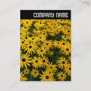 Carte De Visite V En-tête - Rudbeckies (Rudbeckia Hirta)
