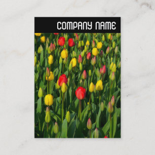 Carte De Visite V En-tête - Tulipes Colorées
