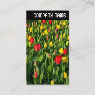 Carte De Visite V En-tête - Tulipes colorées II