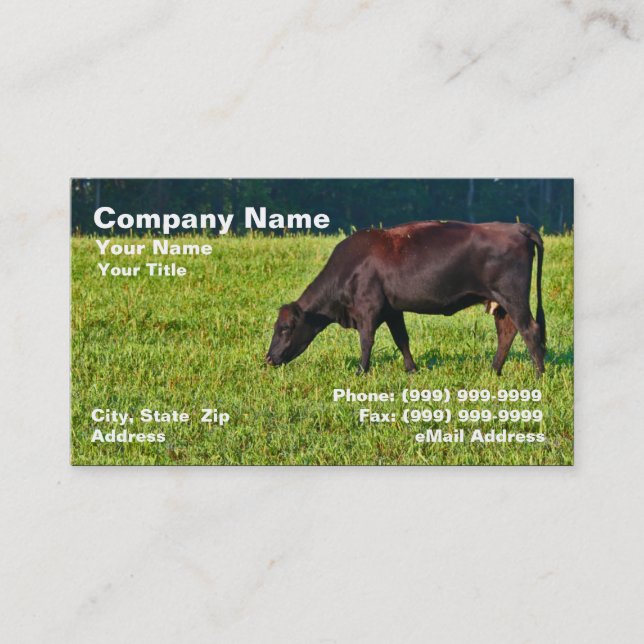 Carte De Visite Vache Brown alimentant sur l'herbe (Devant)