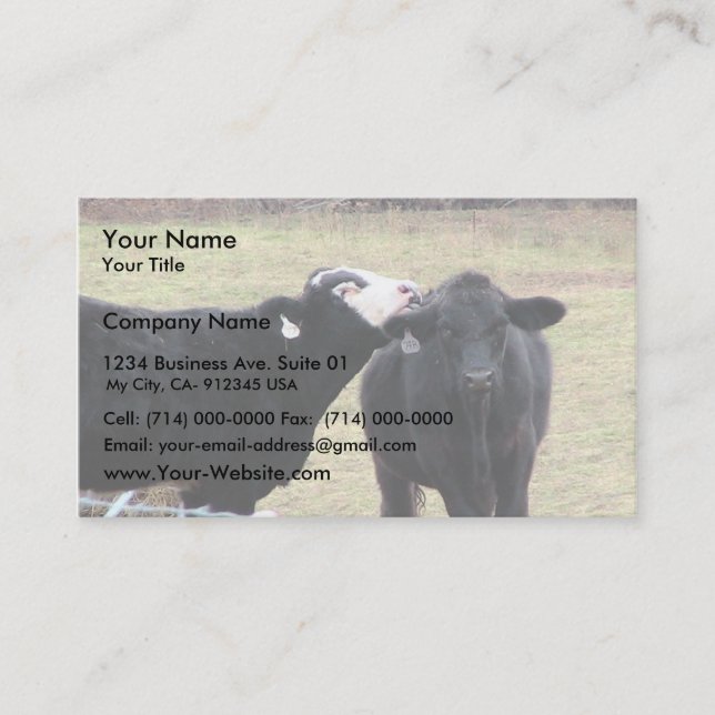 Carte De Visite Vaches à mère léchant son nourrisson (Devant)