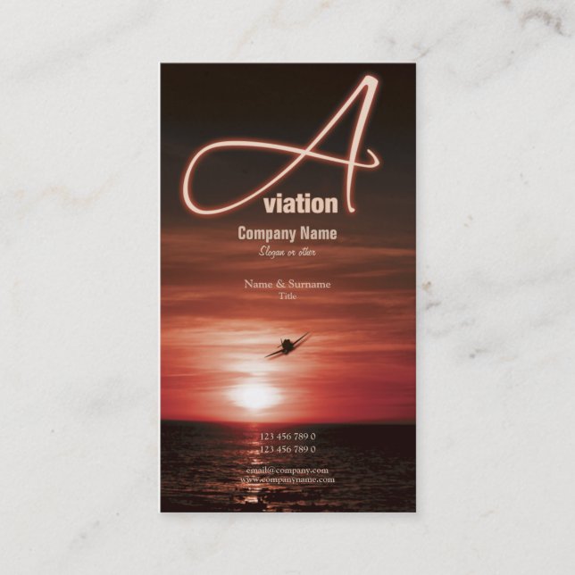 Carte De Visite Vente d'affaires de vol d'aviation (Devant)