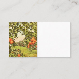 Carte De Visite Verger d'orange vintage