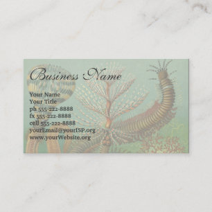 Carte De Visite Vers Anciens Annélides Chétopodes par Ernst Haecke