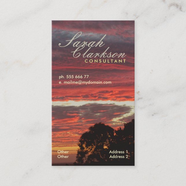 Carte de visite vertical des jeux de calques Firey (Devant)