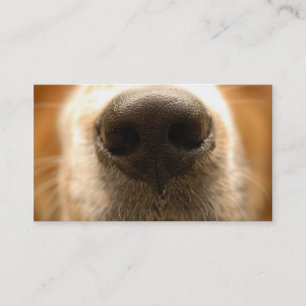 carte de visite vétérinaire de nez de chien