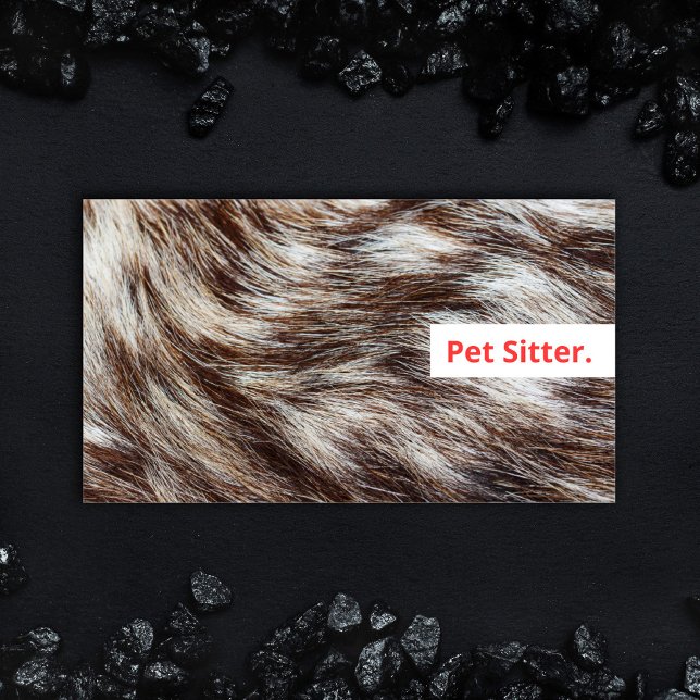 Carte De Visite Vétérinaire moderne Sitter Chien Walker Grooming (Bold design Dog Walking and Pet Sitting Business card with fluffy fur and colorful modern type.)