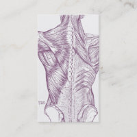 Vieux muscles d'art d'anatomie du pourpre arrière