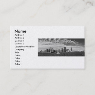Carte De Visite Ville - Chicago Skyline & The Navy Pier BW