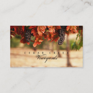 Carte De Visite Vineyard