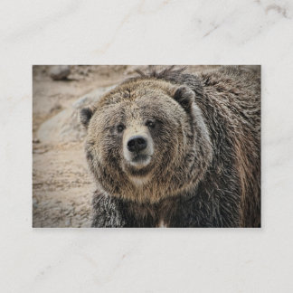 Carte De Visite Visage mignon d'ours gris d'animal sauvage