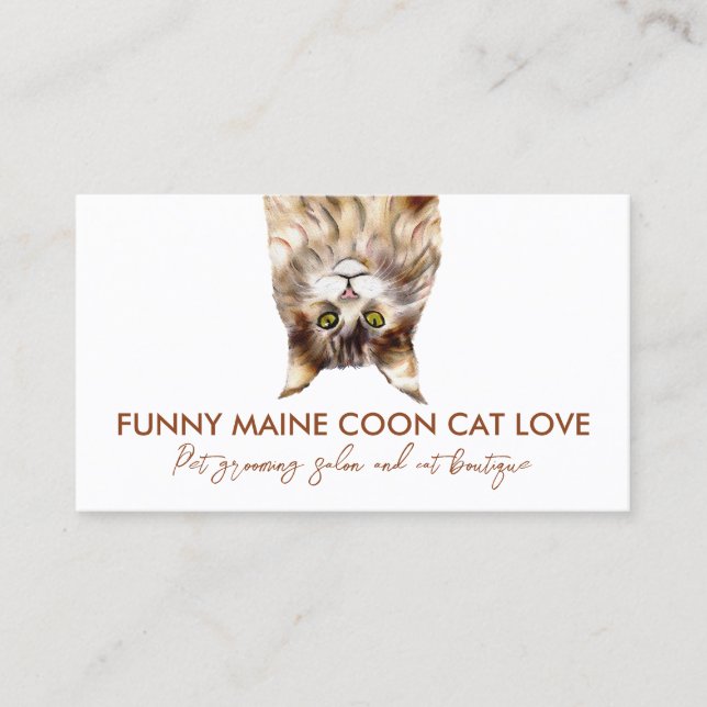 Carte De Visite Visite de soins de médicaments pour chats (Devant)