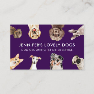 Carte De Visite Visite de soins pour chien âgé