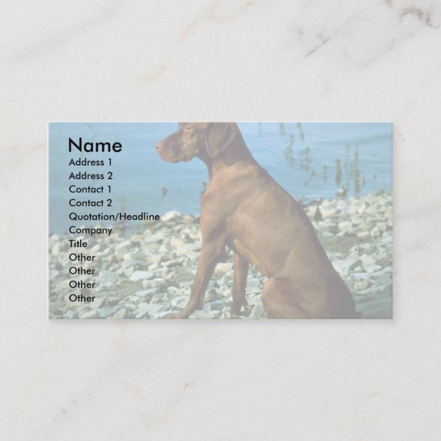 Carte De Visite Vizsla (Devant)