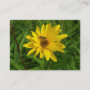 Carte De Visite Vol stationnaire sur un chrysanthème jaune