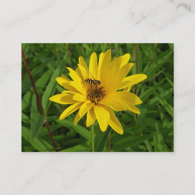 Carte De Visite Vol stationnaire sur un chrysanthème jaune (Devant)