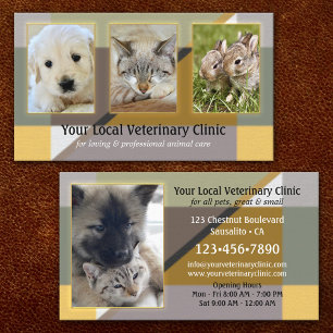 Carte De Visite Votre clinique vétérinaire ou animale en 4 photos