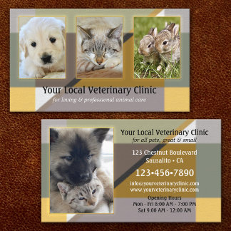 Carte De Visite Votre clinique vétérinaire ou animale en 4 photos