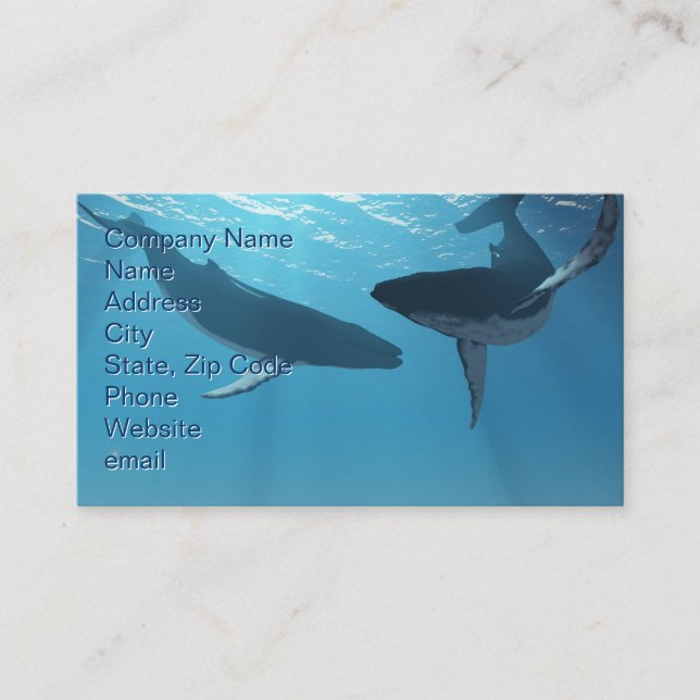 Carte De Visite Whale Wonders (Devant)