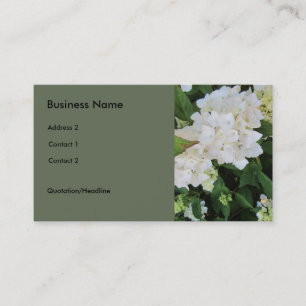 Carte De Visite White Hydrangeas
