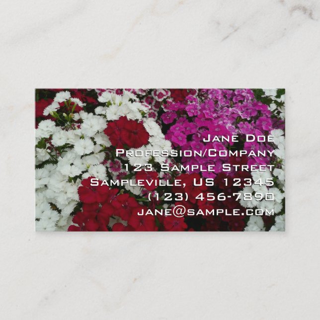 Carte De Visite White, Pink and Red Dianthus Floral (Devant)