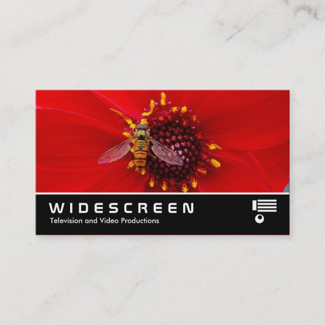 Carte De Visite Widescreen 145 - Syrphe sur un Dahlia (Devant)