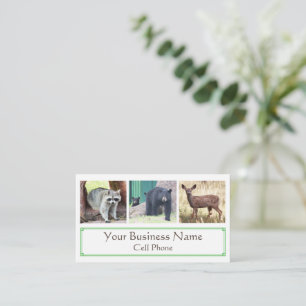 Carte De Visite Wildlife Raccoon Black Bear Cub Deer Amoureux des 