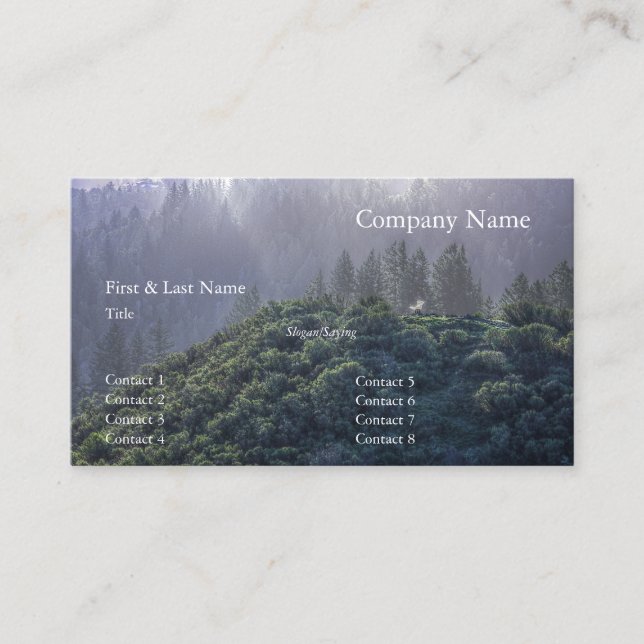 Carte De Visite Windy Hill 12 (Devant)