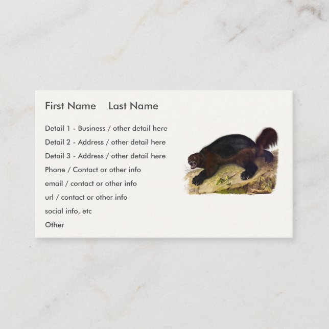 Carte De Visite Wolverine ou Wolverene (Gulo gulo) par Audubon (Devant)