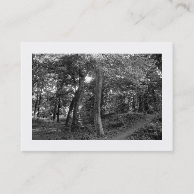 Carte De Visite Woods Bute Park, Cardiff, Mini Photo (Devant)