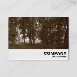 Carte De Visite Woods, Bute Park Cardiff - Sepia tonifié