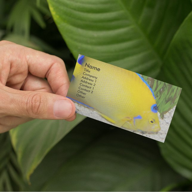 Carte De Visite Yellow and Blue Queen Angelfish Photo (In Situ Plants)