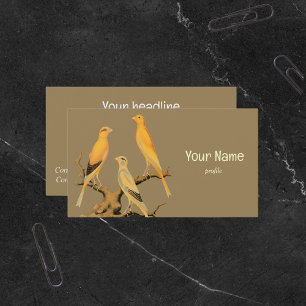 Carte De Visite Yorkshire Canary Vintage