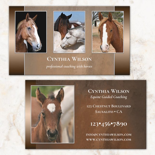 Carte De Visite Your Photo Horse Stables or Coaching Business Card (Créateur téléchargé)
