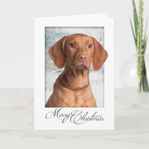 Carte de Vizsla Christmas