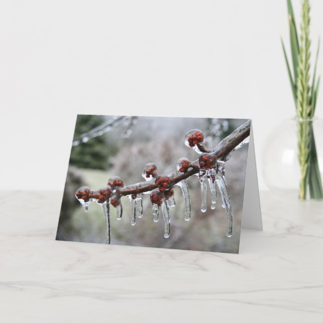 Carte de vœux (Devant)