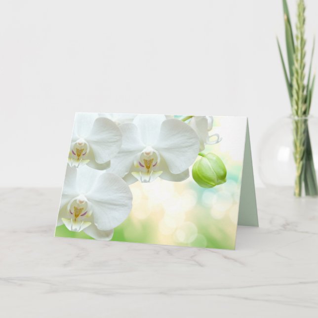 Carte de voeux (Devant)