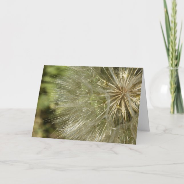 Carte de voeux (Devant)