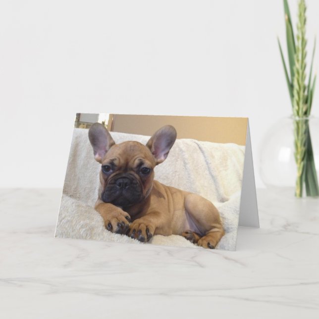 Carte de voeux (Devant)