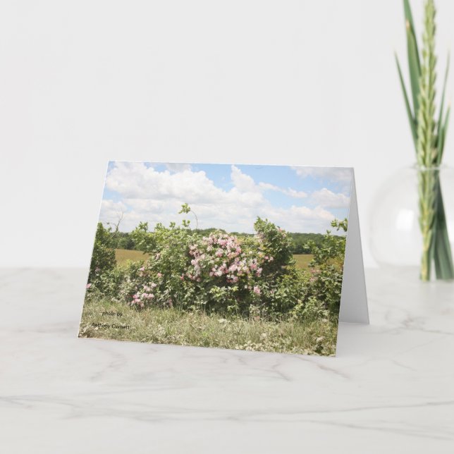 Carte de voeux (Devant)