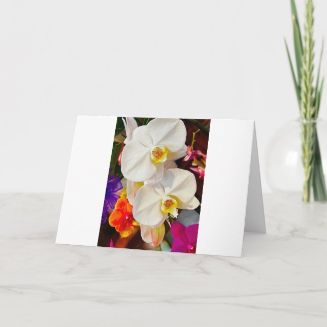 carte de voeux (Devant)