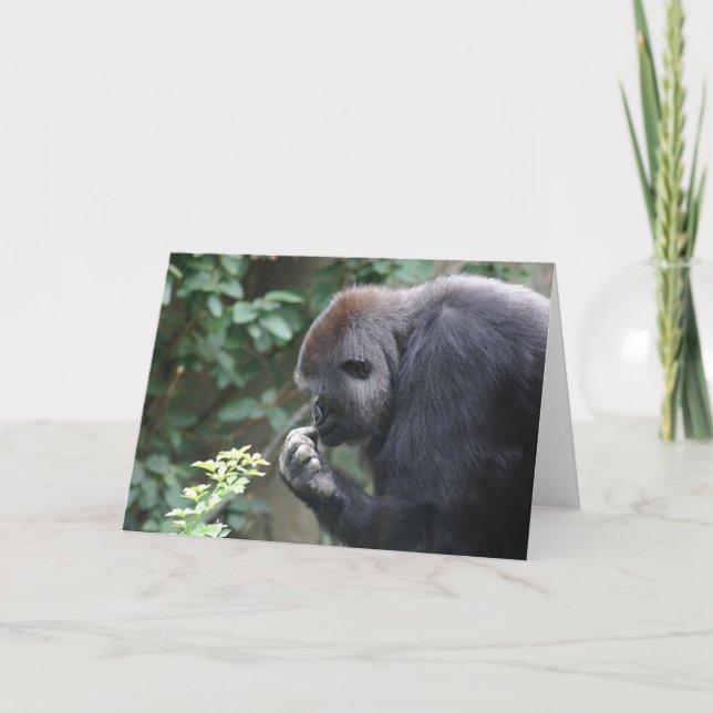 Carte de voeux (Devant)