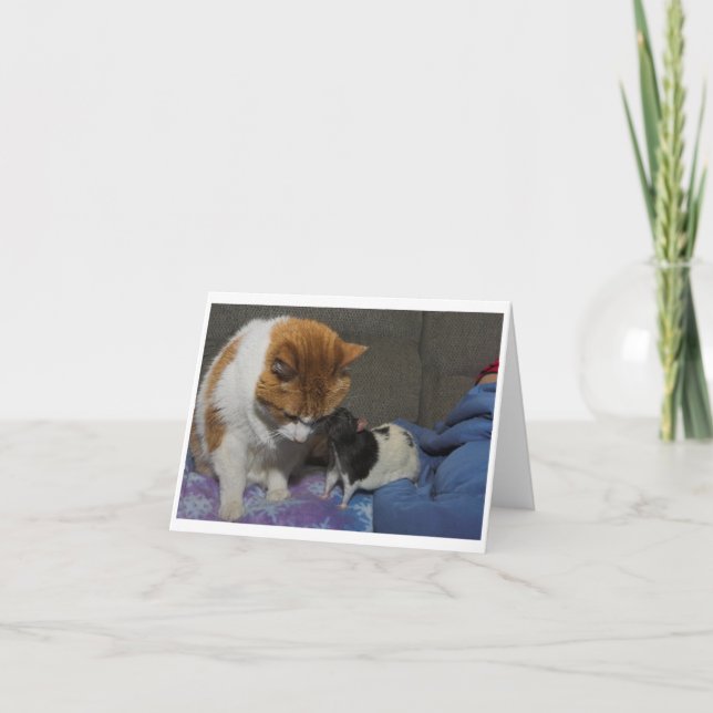 carte de voeux (Devant)