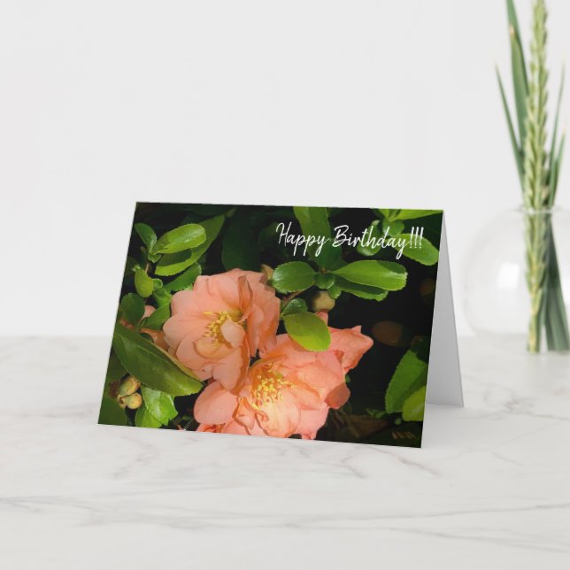 Carte de voeux 1-18 pour le coing de fleurs (Devant)
