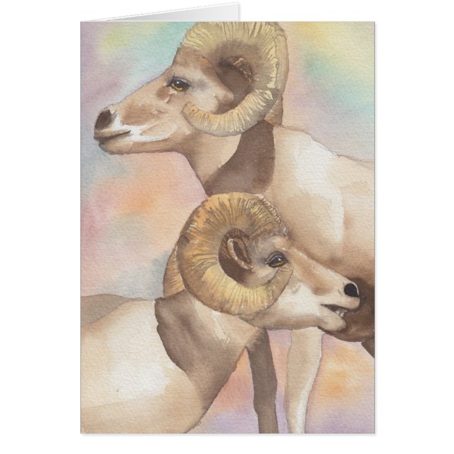 Carte de voeux "2 Rams Watercolor Sketch/Arrowhead (Devant)