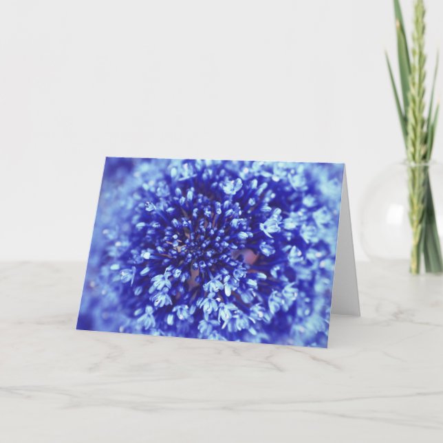 Carte de voeux à fleurs bleues (Devant)