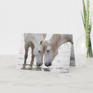 Carte de voeux à l'eau à Dawn Horse
