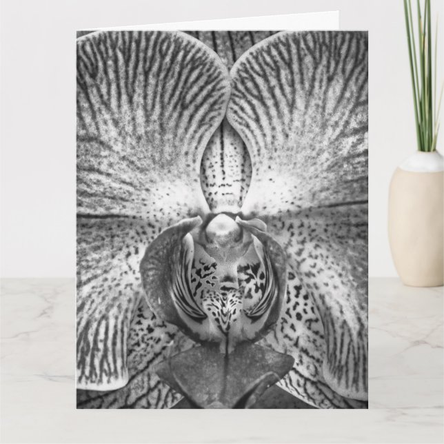 Carte de vœux à l'orchidée monochrome (Devant)